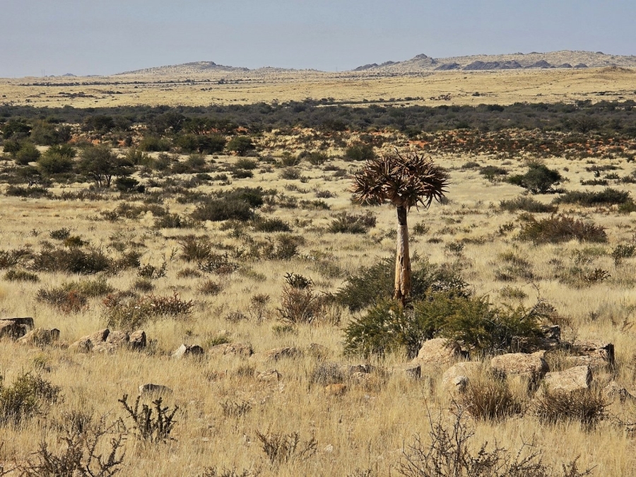 Commercial Property for Sale in Kenhardt Northern Cape